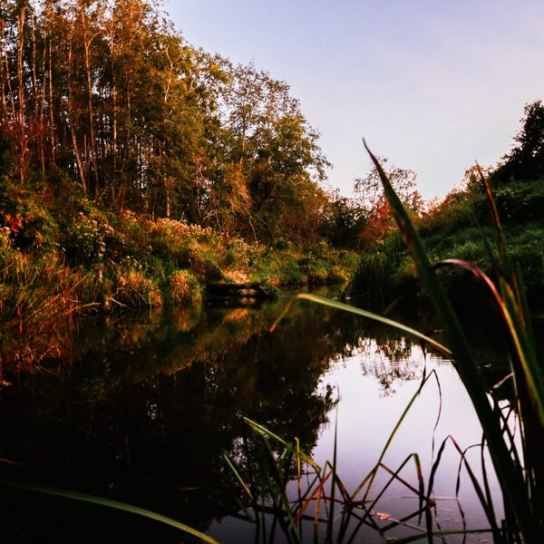 Ulvis NicULVIS NICIS PHOTOGRAPHY" Durbes upes pēdējie vasarīgie skati pārejot rudens burvī