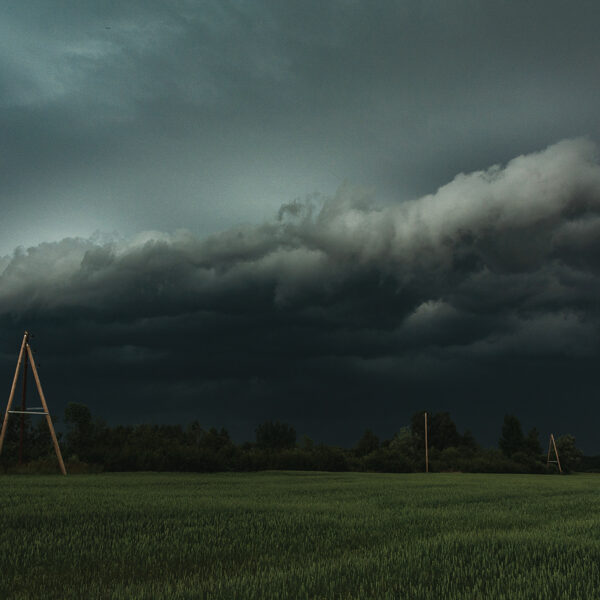 Māris Ankevics "Pirms negaisa" Rude