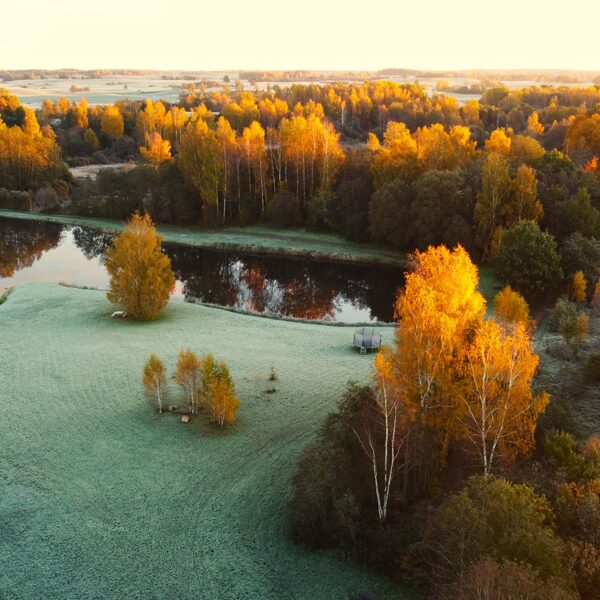 Gunārs Tiesnesis "Zelta rudens" Priekule