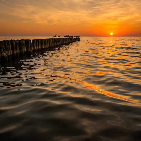 Dāvids Birulis "Saulei grimstot" Jūrmalciems