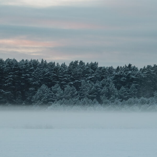 Kristiāna Mame "Miglas blūzs" Pāvilosta - Ulmale