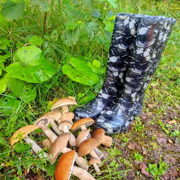 Ruta Siksna "Čaklais sēņotājs palicis bez sēnēm un zābakiem" Dunalkas vietējie meži