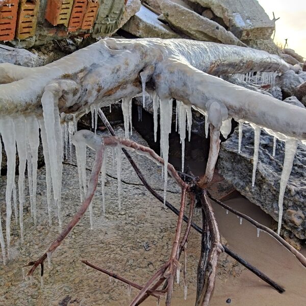 Mārīte Siksna "Nosalusī Bernātu pludmale" Bernāti