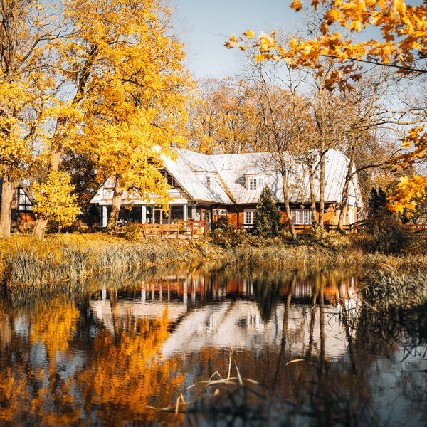 Toms Bokums "Rudenīgie skati Nīcā" 