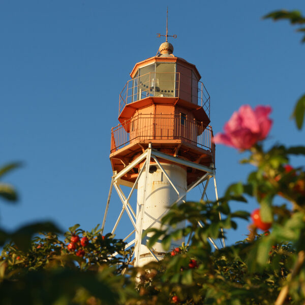 Elīna Jauniņa "Ceļa virziens" Papes bāka.