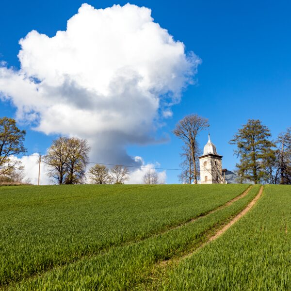 Simona Stalidzāne "Baznīca" Vecpils