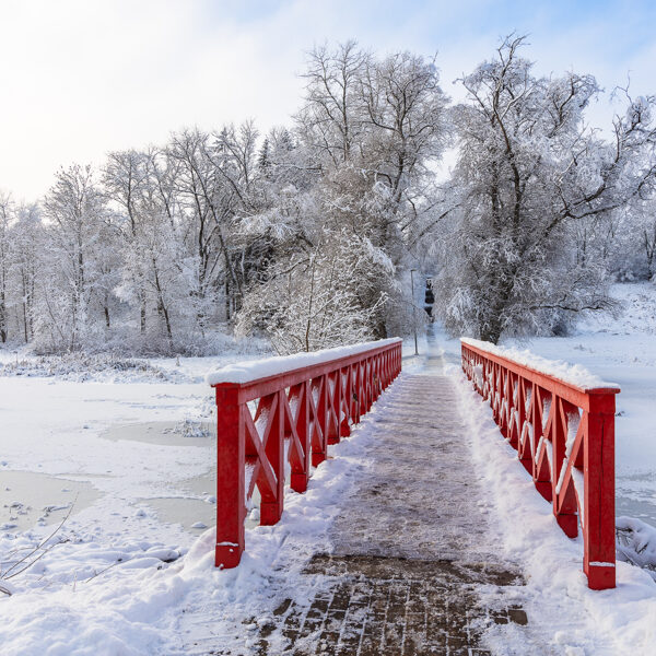 Simona Stalidzāne "Tilts" Aizpute