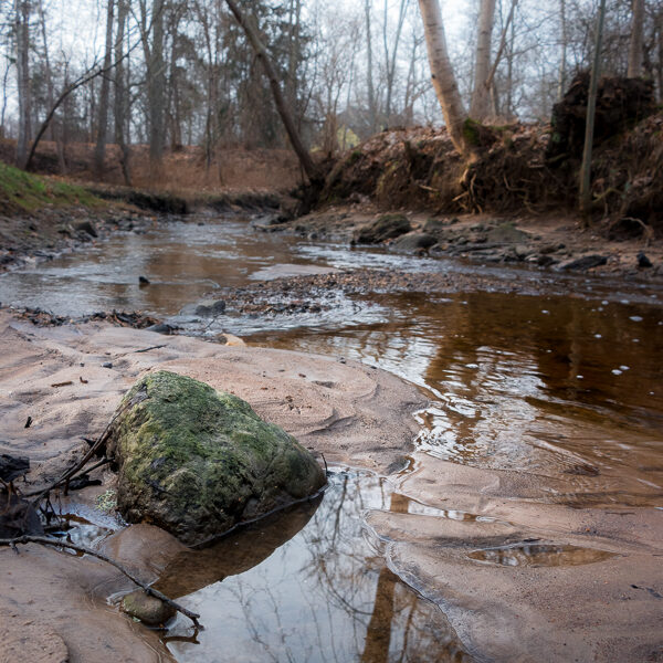 Dāvids Birulis "Agrs pavasaris Pāvilostā" Pāvilosta