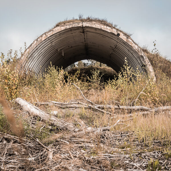 Dāvids Birulis "Lidmašīnu angārs" Vaiņode
