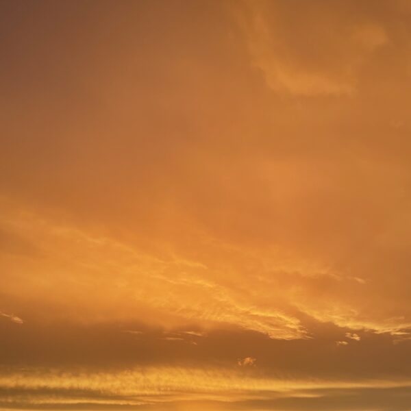 Agnese Kurčanova-Kraģe "Vasara rudenī" Pāvilostas pludmale