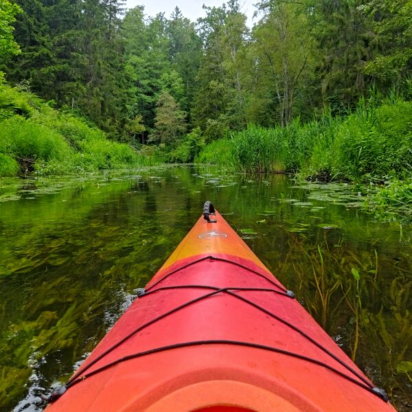 Ruta Siksna "Durbes upe vasaras izskaņā" Durbes upes loki