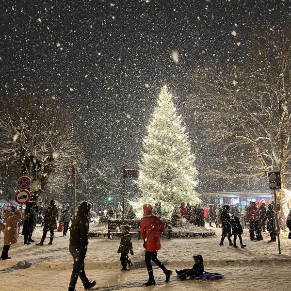 Kristīne Feldmane "Ziemassvētku eglīte Grobiņā" Grobiņas pilsētas skvērs