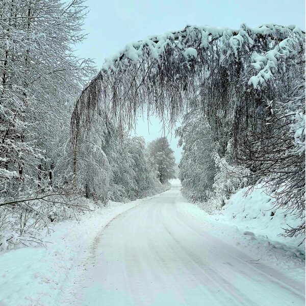 Gunārs Tiesnesis "Sniedziņš" Priekule