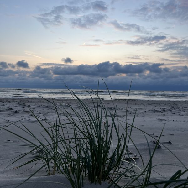 Egija Riežniece "Svaigums" Bernāti