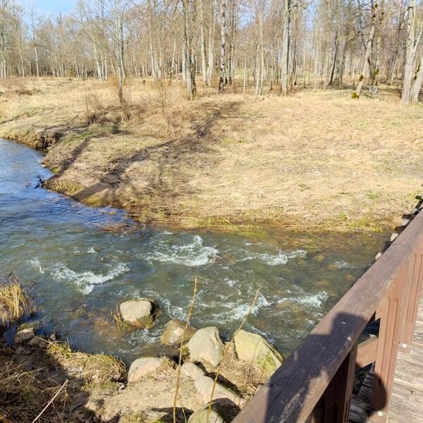Ruta Siksna "Miers un saule Priekulē" Priekules vietējais parks pie skolas