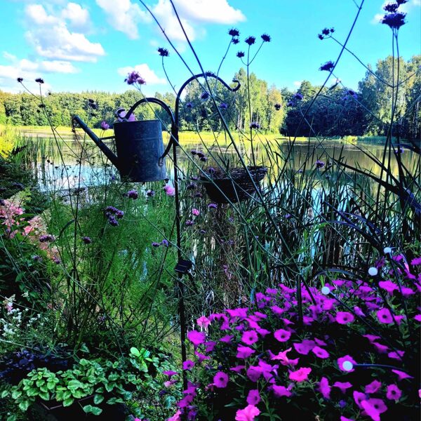 Gunārs Tiesnesis "Dižozoli" Priekule