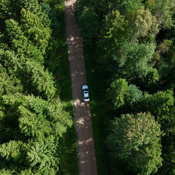 Annija Bluka "Meža vidū" Pa ceļam uz Dunikas purva taku