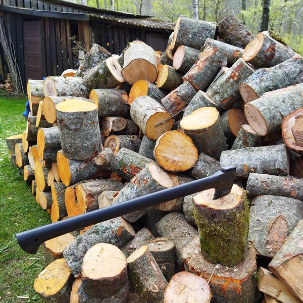 Ruta Siksna "Sporta zāle svaigā gaisā" Priekule/Saulaine