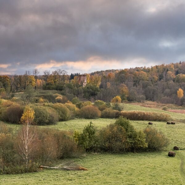Setlana Sorokina "Rudens" Embūte