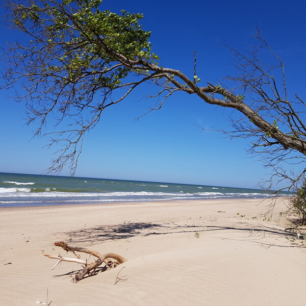 Iveta Kuplā "Saulainais krasts "Ziemupes pludmale