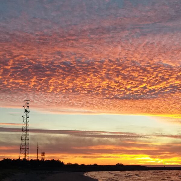 Inita Beihmane "Saulrietā" Pāvilosta