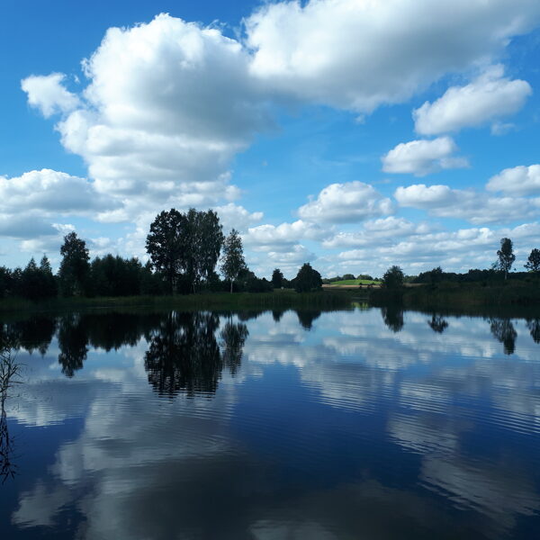 Iveta JUZUPA "Elkuzemes dīķis" Dienvidkurzemes navada Vaiņodes pagastā