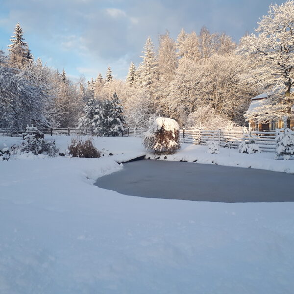 Iveta JUZUPA "Dabas klusums ziemā" Dienvidkurzemes novada Vaiņodes pagasts, Teātra iela 27