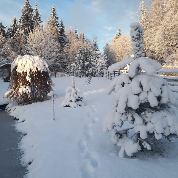 Iveta JUZUPA "Pēdas sniegā" Dienvidkurzemes novada Vaiņodes pagasts, Teātra iela 27