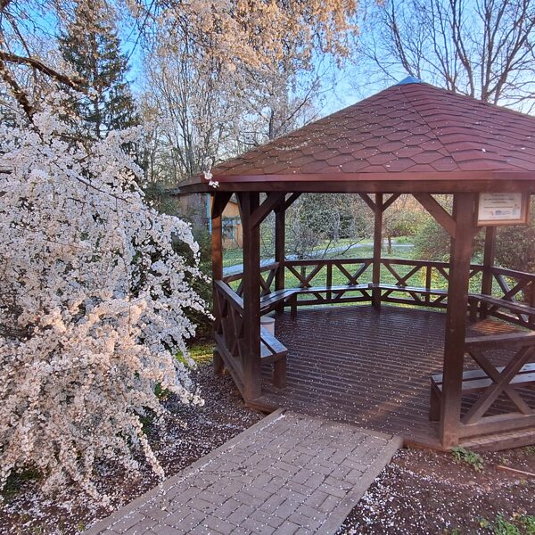 Intars Mellums "Ziedoņlaiks" Priekule slimnīcas dārzs