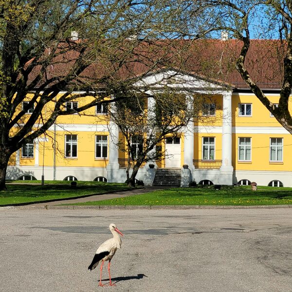 RUDĪTE BĒRZIŅA "Vērgales pils grāfs" Vērgale