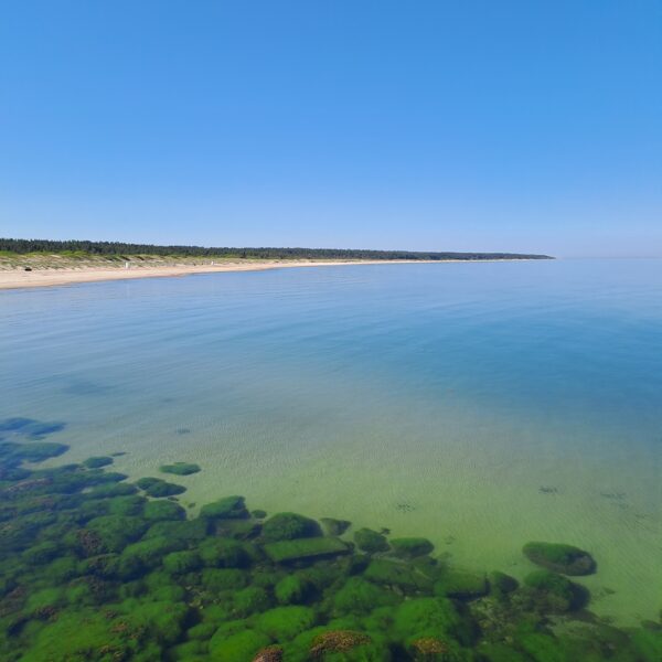 Brigita Iršeina "Pāvilostas tirkīzs" Pāvilostā