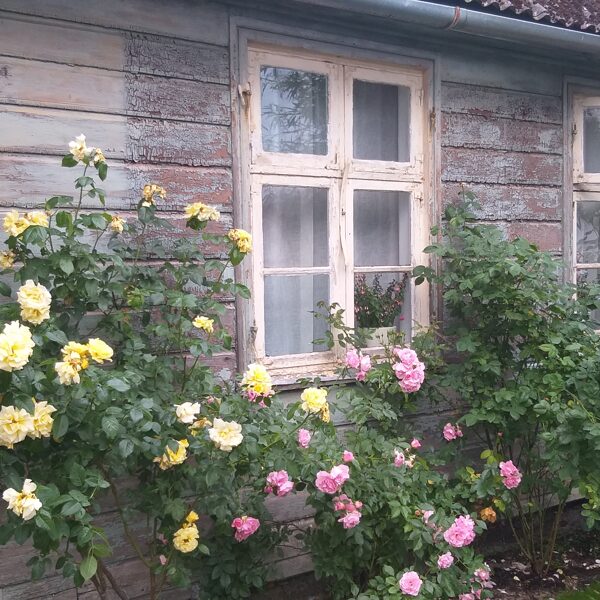 Inita Beihmane "Senskaists" Pāvilosta