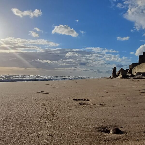 Mārtiņš Strazds "Pēdas_Papē" Papes bāka