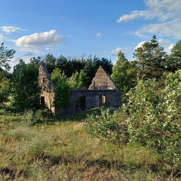 Madara Strazde "Noraut jumtu vējam izdodas" Pape