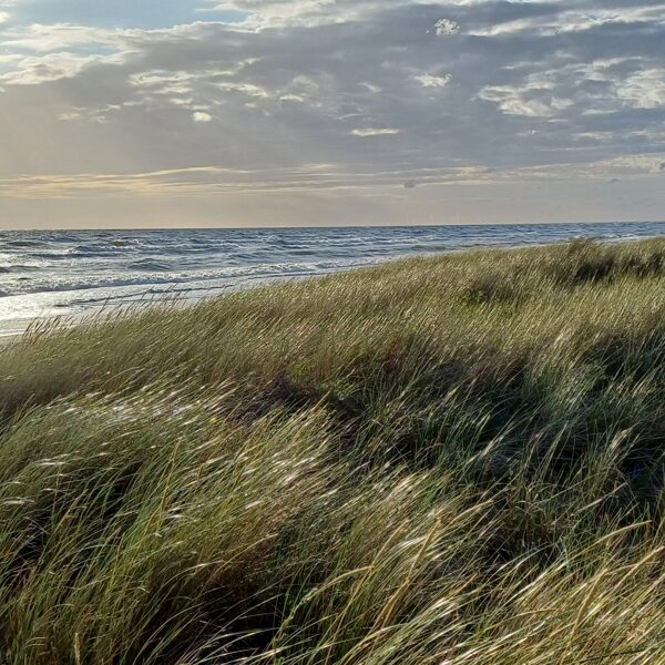 Madara Strazde "Kurzmes vējā ir skaistums" Pape
