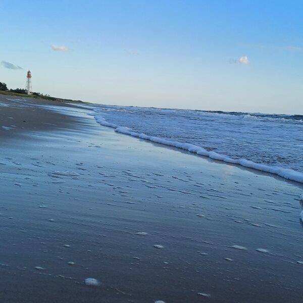 Mārtiņš Strazds "Pape puto"