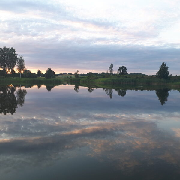 Iveta JUZUPA "Saulrieta atspulgs Elkuzemes dīķī" Dienvidkurzemes novada Vaiņodes pagasts, 