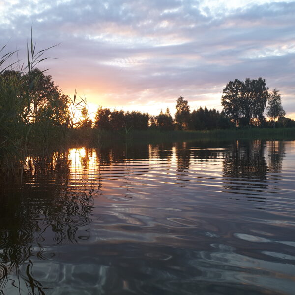 Iveta JUZUPA "Saulriets" Dienvidkurzemes novada Vaiņodes pagastā, Elkuzemes dīķis