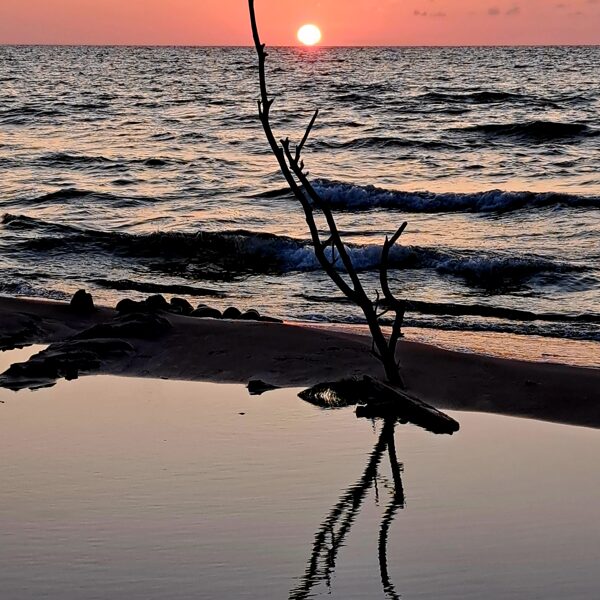 Ramona Dunaiceva "Jūra" Pāvilosta