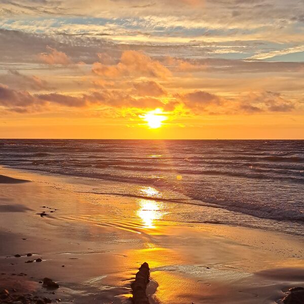 Ramona Dunaiceva "Jūra" Pāvilosta