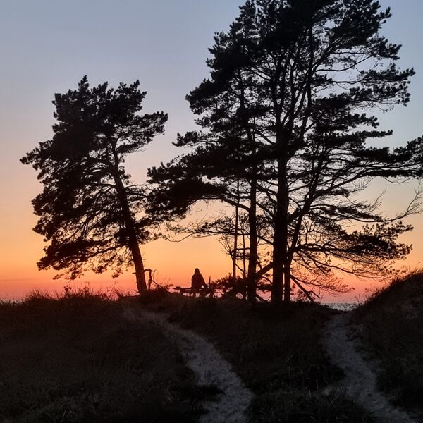 Sandis Zūzāns "Gaidot" Bernāti