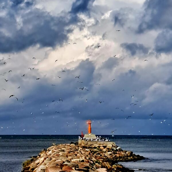 Ramona Dunaiceva "Jura" Pāvilosta