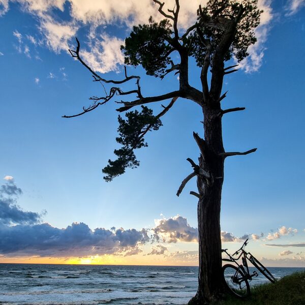 SANDIS ZŪZĀNS "Par spīti visiem vējiem" Bernāti