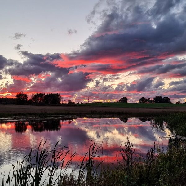 SANDIS ZŪZĀNS "Ugunīgs septembra saulriets" Vecpils