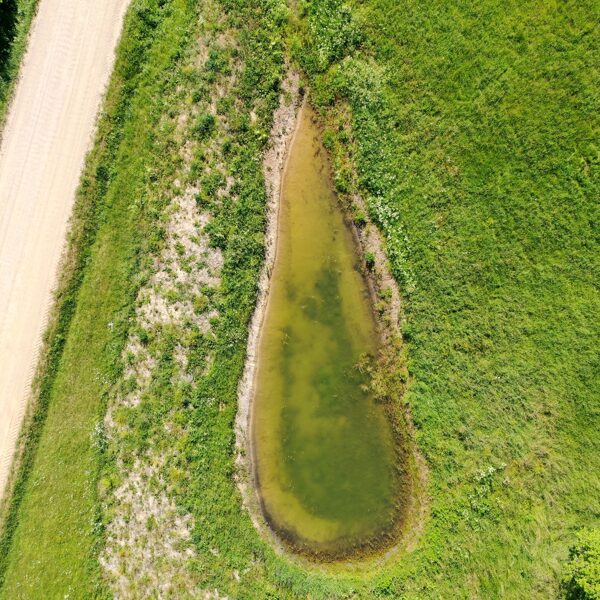 Jānis Skaldis "Dīķis - asara" Dunalkas pagasts