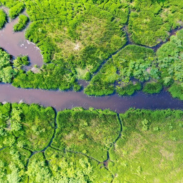 Jānis Skaldis "Zaļā purva sazarojumi" Dunalkas pagasts