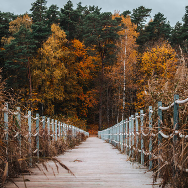 Līga Konončuka "Pastaiga pa rudens laipu" Kazdangas dzirnavezers