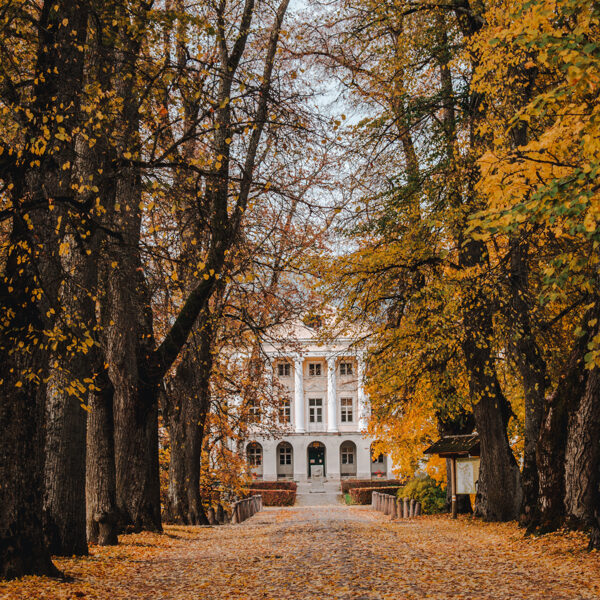 Līga Konončuka "Rudenīgais ceļš uz muižu" Kazdangas muižas parks