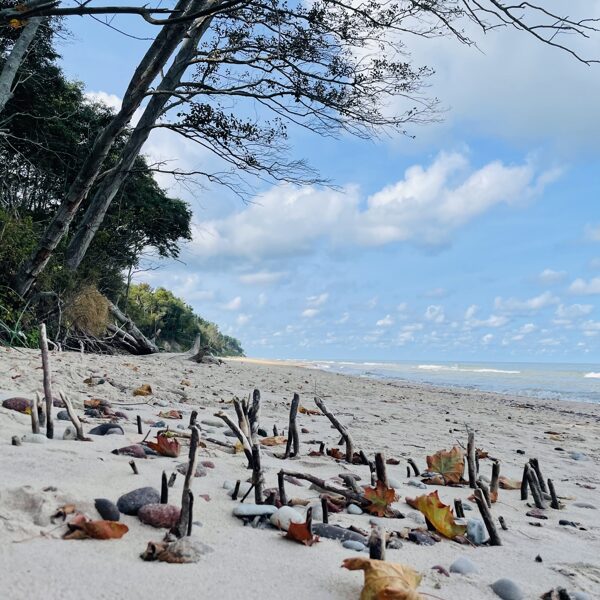 Kristīne Einase "Rīta drosme" Labrags