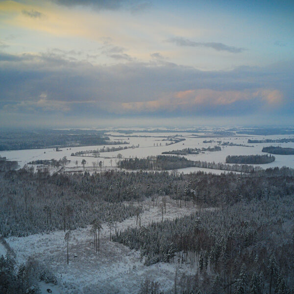 Gaviezes pagasts - Karlis Paegle
